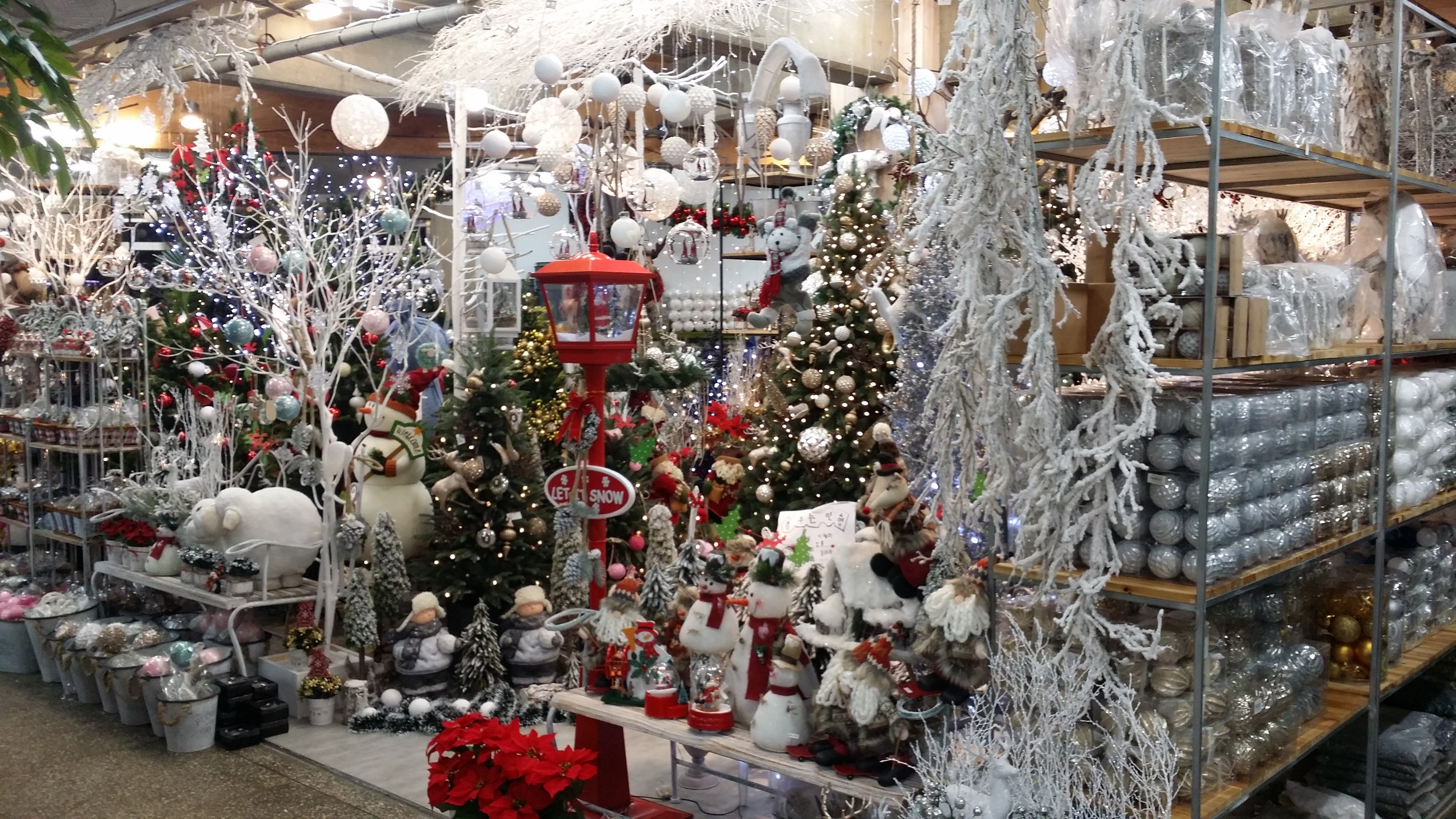 20151123_183733.jpg