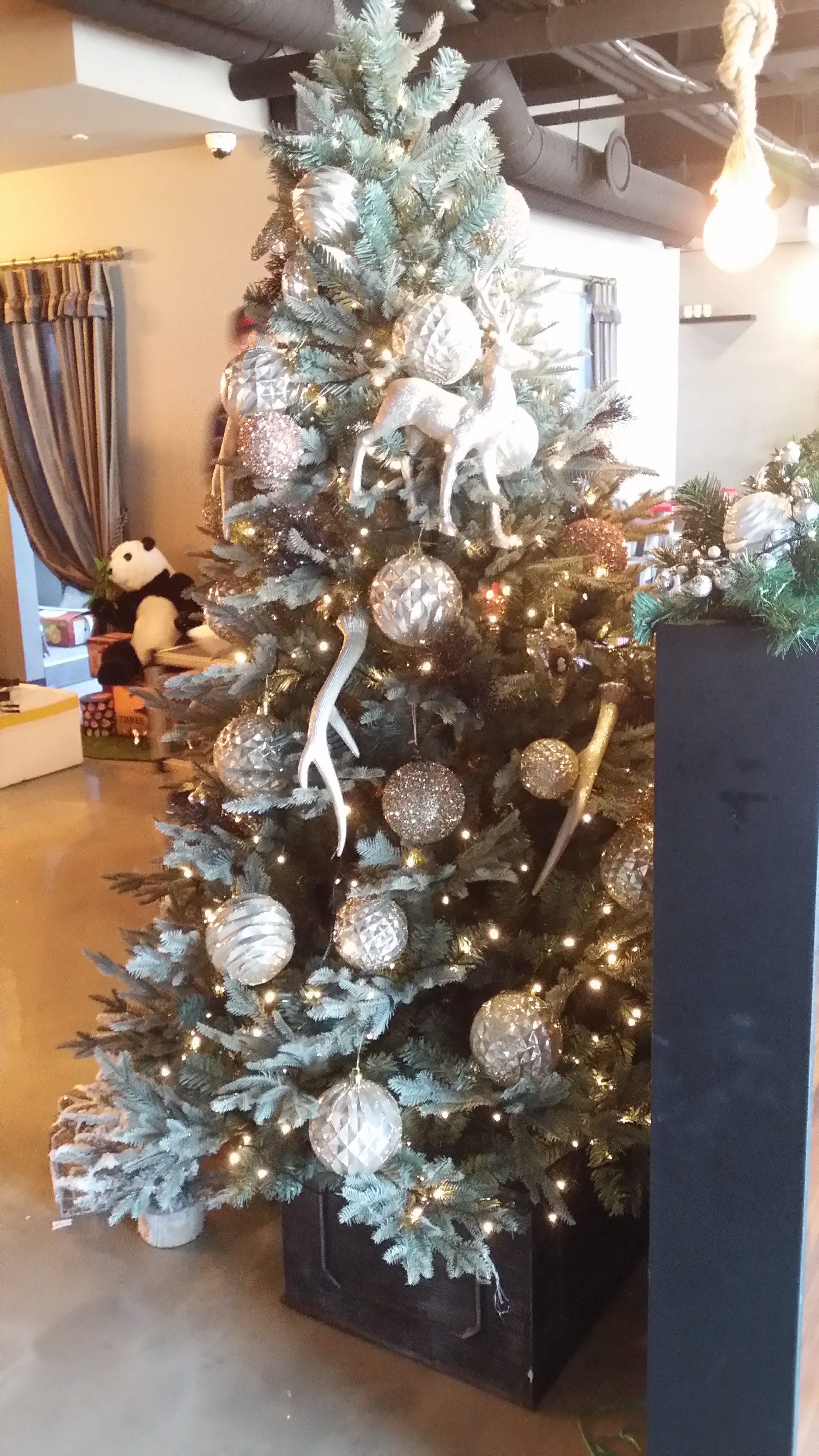 20161114_143610.jpg