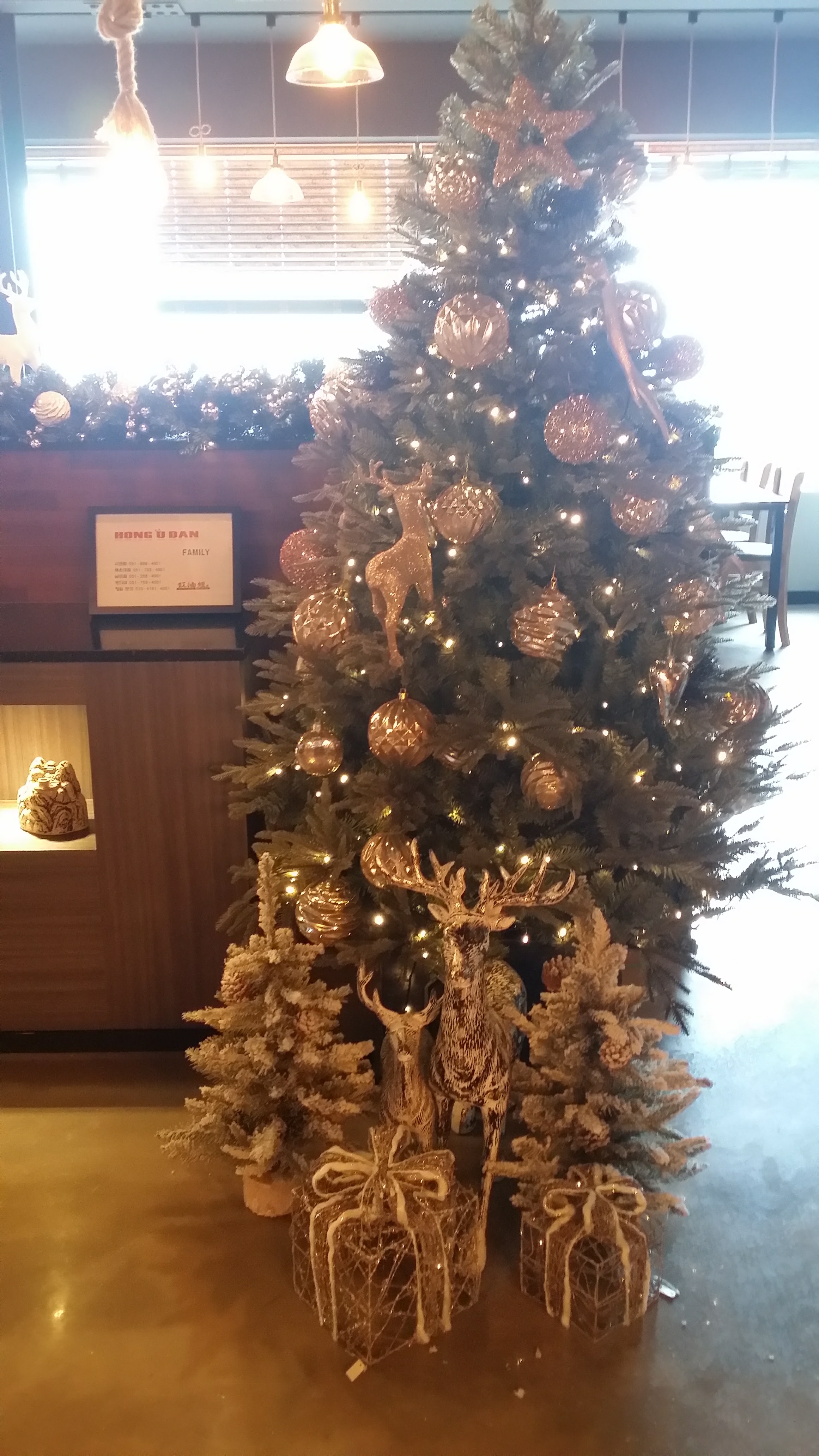 20161114_143552.jpg
