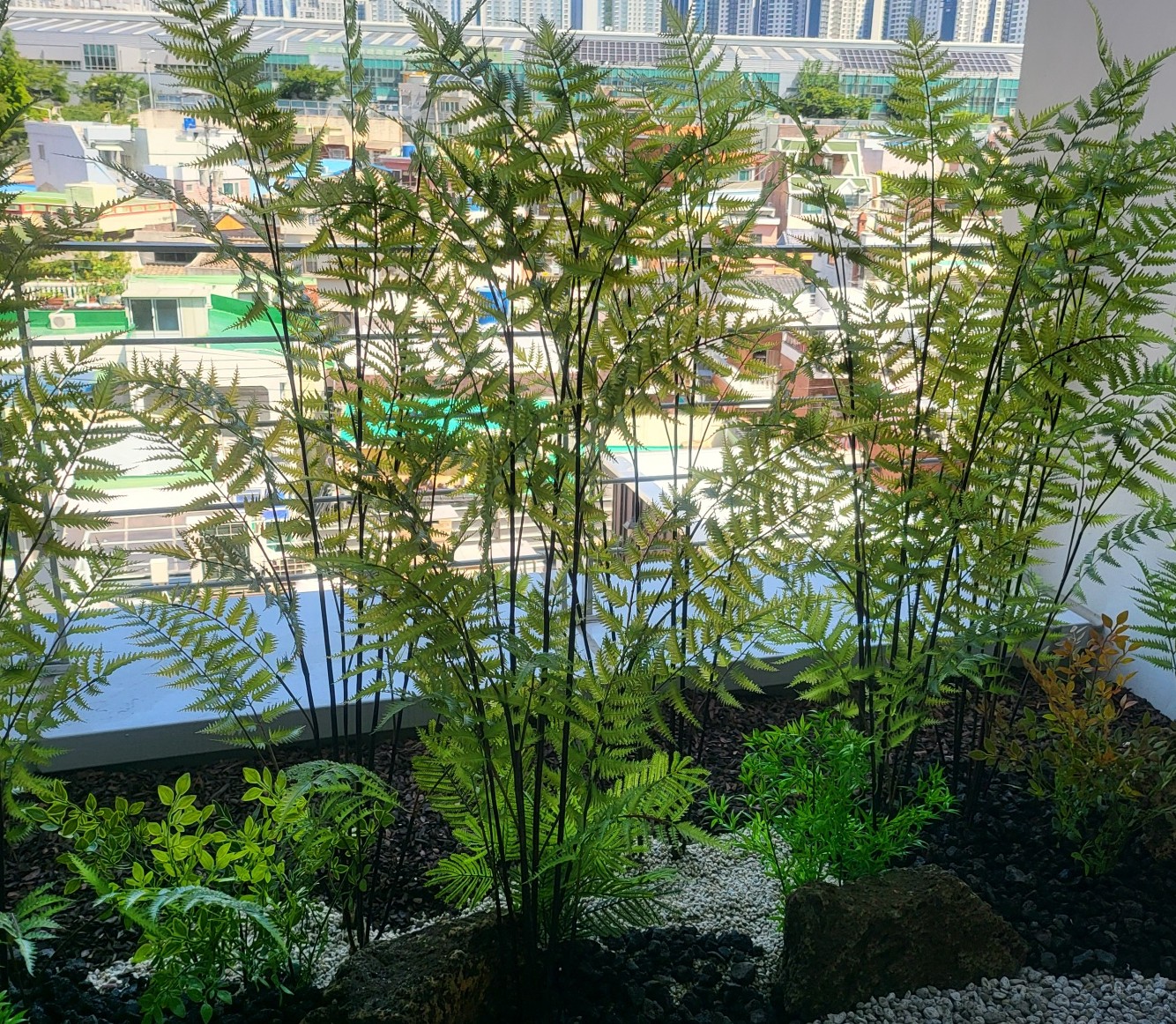 KakaoTalk_20250608_061755583_02.jpg