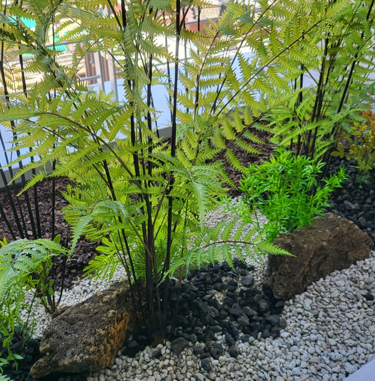 KakaoTalk_20250608_061755583_04.jpg